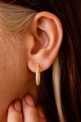 Yaldızlı Halka Altın Küpe