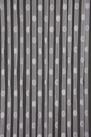 Küçük Puanlı Model Beyaz Renk Hazır Ip Perde 300x270 Cm
