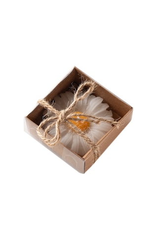 Kraft Kutulu Papatya Mum 10 Adet