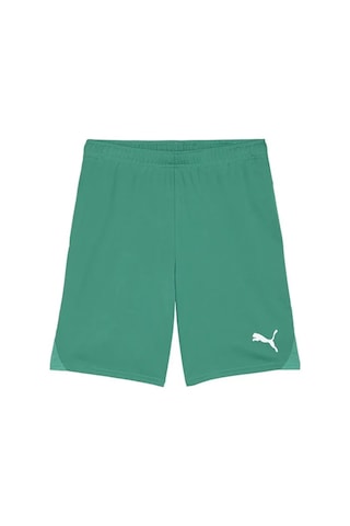 Puma Teamgoal Shorts Erkek Futbol Antrenman Şortu 70575205 Yeşil Yeşil