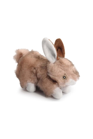 Camon Gıcırtılı Ve Hışırtılı Pelüş Tavşan Köpek Oyuncağı 23 Cm