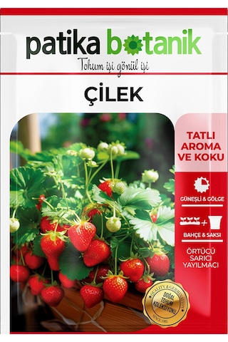 75 Adet Yerli Ata Sarmaşık Çilek Tohumu