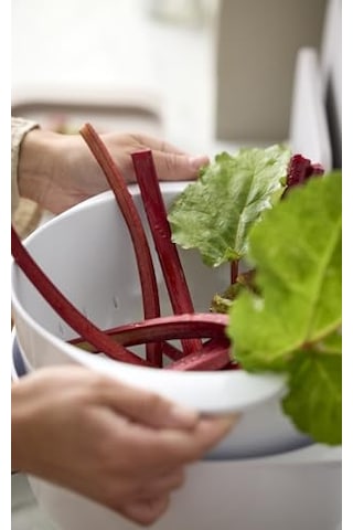 Margrethe Için Süzgeç 4 Litre Green Genel