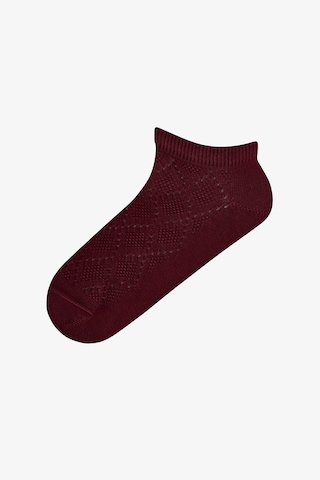 Penti Bordo Diamond Jacquard 3lü Patik Çorap Bordo-sıyah