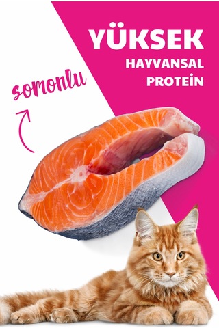 Herbamax Sterilised Kısırlaştırılmış Somonlu ve Pirinçli Yetişkin Kedi Maması 10 KG