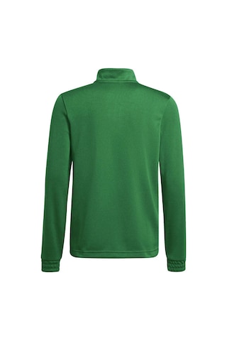 Adidas Erkek Sweatshirt Yeşil Hı2129 Ent22 Tr Top 25k339hı2129 339a168