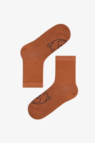 Penti Erkek Çocuk Kahverengi Brownie Bears Ayı Desenli Pamuklu 4 Çift Soket Çorap Brown