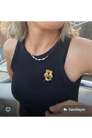 Kediciklerim Broş
