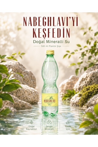 Nabeghlavi Doğal Mineralli Su 500 ML 12'li Koli