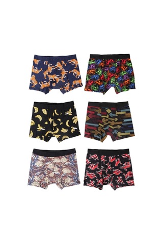 Harry Jons Erkek 6'lı Desenli Renkli Pamuklu Premium Paket Boxer Karışık2 Karışık2