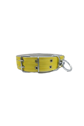 İri Ve Büyük Cinsler İçin Kanğal Köpek Tasması 80x5 Cm Sarı