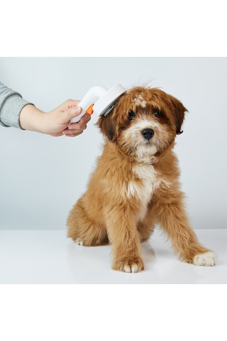 Petkit Tüy Toplayıcı Kedi Köpek Tarak Beyaz 2 (Resmi Distribütör Garantili)