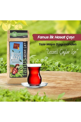 Fanus İlk Hasat Dökme Siyah Çay 350 G
