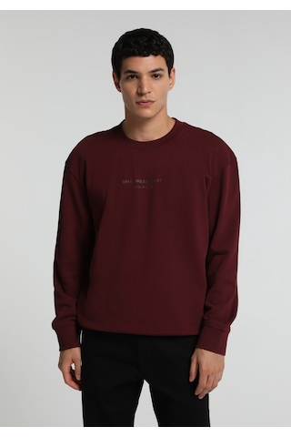 Colin's Colins Relaxed Fit Yuvarlak Yaka Düz Erkek Mor Sweatshirt Cl1082257 Q1.v2 Plm