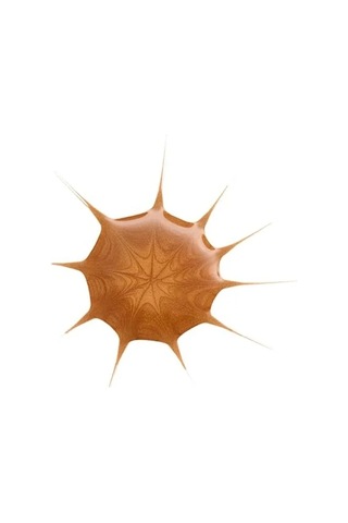 Bronzlaştırıcı Damla, Doğal Ve Etkili Kullanım