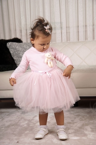 Oyuncak Ayıcıklı Uzun Kollu Astarlı Kız Çocuk Tüllü Elbise Pembe