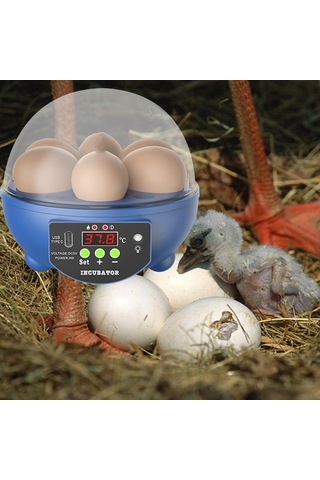 Suntek Yumurta Kuluçka Makineleri Otomatik Civciv Kuluçka