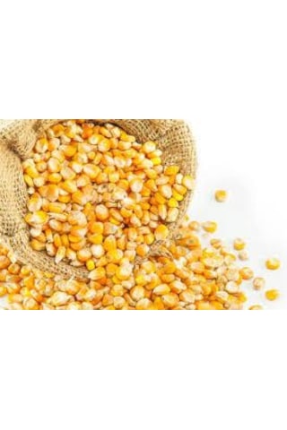 Tane Mısır 1 KG Tavuk Yemi Yemlik Mısır Kanatlı Yemi Kaz Ördek Bıldırcın Yemi Tane Mısır 1 KG Tavuk Yemi Yemlik Mısır Kanatlı Yemi Kaz Ördek Bıldırcın Yemi