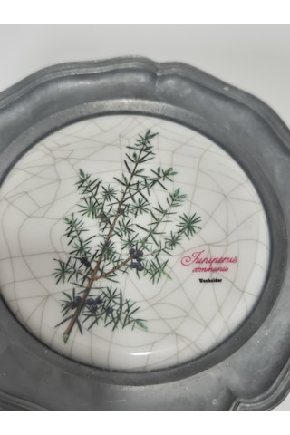 Vintage Zınn Çerçeveli Dekoratif Ardıç Dalı Temalı Duvar Tabağı 10cm 004