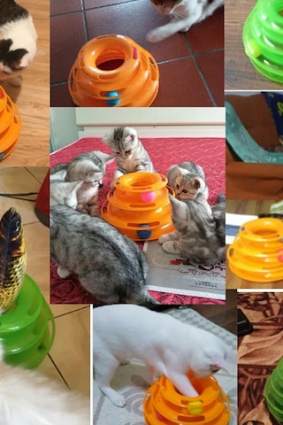 Thentech Dönebilen Hazneli Oyuncak 3 Katlı Kedi Köpek Oyuncağı Turuncu