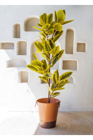 The Mia Yapay Ficus Altissima Ağacı Sarı Yeşil 170 Cm