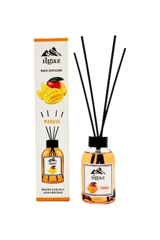 Ilgaz Okyanus + Mango Bambu Çubuklu Oda Kokusu 2 x 110 ML