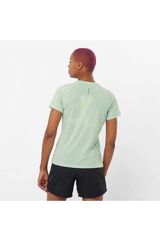 Salomon Cross Run Ss Tee W 4301 Çok Renkli