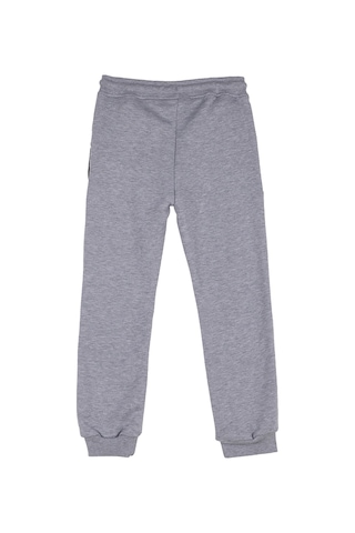 National Geographic Gri Erkek Çocuk Sweatpant N6wb-ea4872 Gri Melanj