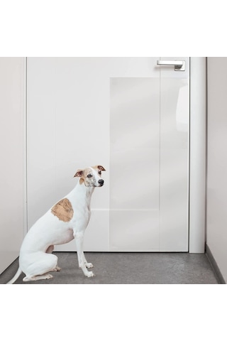 Köpek Tırmalama Mobilya Kapı Koruyucu Yapışkanlı Folyo 60 x 85 CM Şeffaf