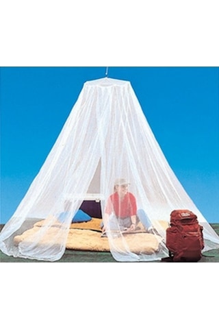 Coghlan's Büyük Kamp Cibinliği Çok Renkli