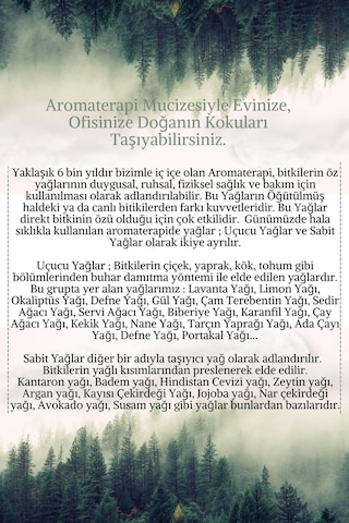 Lavendrose %100 Saf Bitkisel Aromaterapi Adaçayı Uçucu Yağı 10 ML