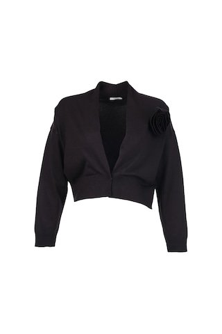Unique Mode Minimalist V Yaka Uzun Kol Kadın Crop Hırka Siyah