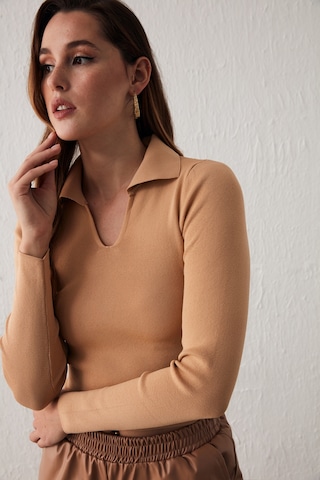 Sateen Polo Yaka Triko - Bisküvi-132060 Bisküvi