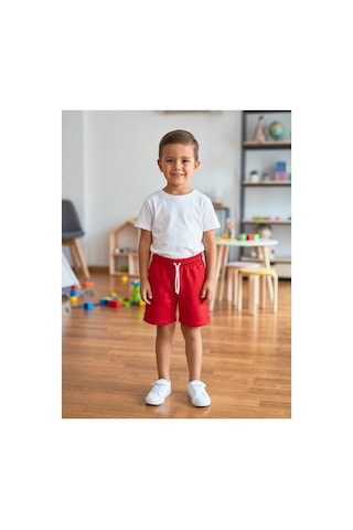 Hafico Erkek Çocuk Basic Şort T-shirt Takım Beyaz