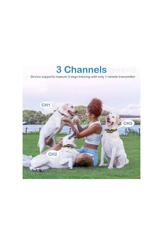 Zilinn Büyük Köpek Eğitim Tasması, Elektrik Şoku, Uzaktan Kumandalı E-yaka, 4 Eğitim Modu, Bip, Titreşim