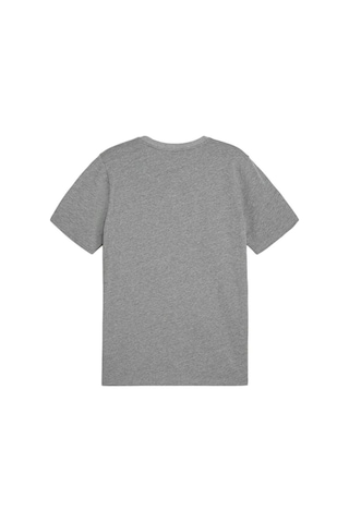 Puma Teamgoal Casuals Tee Erkek Futbol Tişörtü 65861533 Gri 65861533 Gri