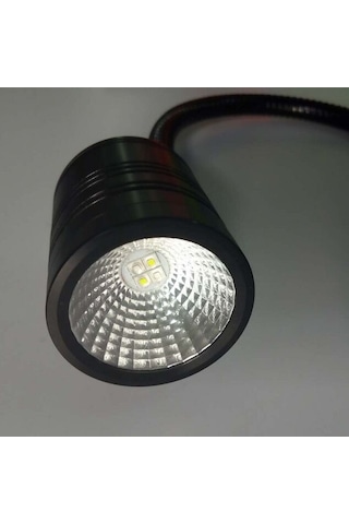 Balık Yumurtlama ve Çoğaltma İçin Led
