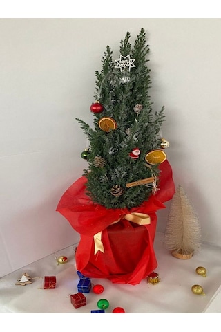 Hediyelik Elwoodi Yılbaşı Ağacı Süslemeli 40-70cm Kozalak+portakallar Dahil