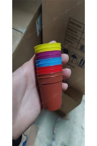 Katı Plastik Sukulent Saksısı 5 Adet Pembe 5.5 Cm