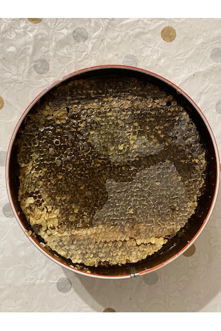 Baş Değirmenler Hakkâri Şemdinli Kara Kovan Balı 1300 G