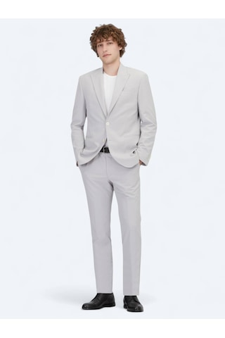 Açık Gri Düz Slim Fit Takım Elbise Açık Gri