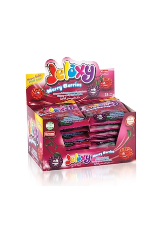 Jelaxy Salkım Böğürtlen 20 Gr. 24 Paket (1 Kutu)
