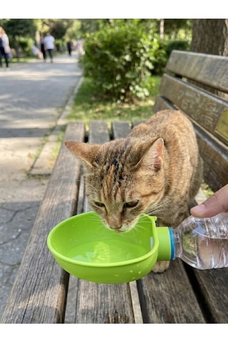 Mucit Home Hayvan Dostu Pet Şişeye Uyumlu Suluk Başlığı İpli Çantaya Takılabilir