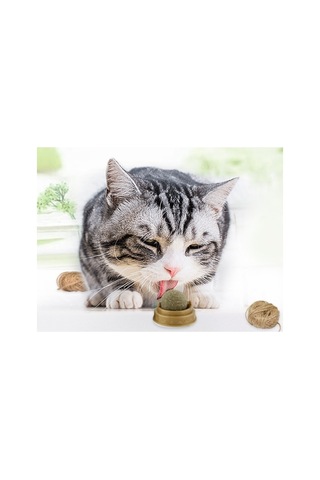 1 Adet Kedi Otu Oyun Topu Catnip Çift Bantlı