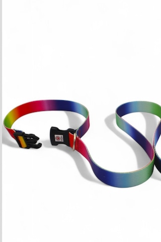 Caramelos Köpek Gezdirme Tasması, Bağlama Kilitli, Anti Shock 4 Çok Renkli