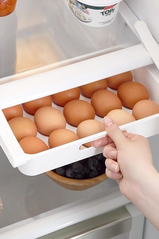 Eggo Pratik Geçmeli Mandallı Raf Yumurtalık 15'li Dolap Içi Yumurta Saklama Kutusu Çok Renkli