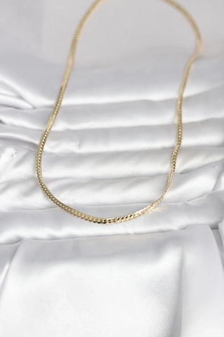 Ceylan Adam Cm 14k Gold Renk Yassı Zincir Model 45 Cm Kadın Kolye Çok Renkli