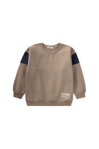 Cigit Garni Detaylı Sweatshirt 2-10 Yaş S Vizon S Vizon