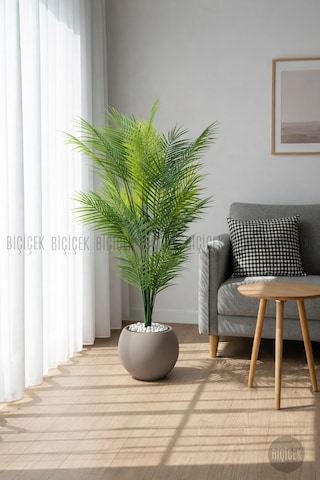 Biçiçek Areka Ağaci 24 Yapraklı 130 Cm Mocha Küre Saksıda