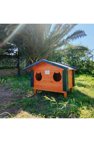 2'li Kedi Evi Dış Mekan